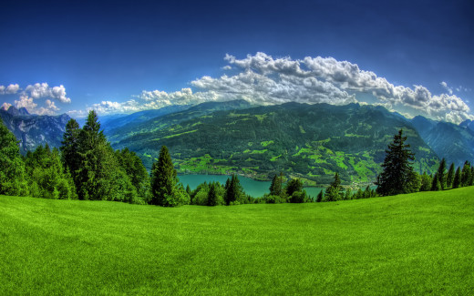 466406 (a): :1920x1200